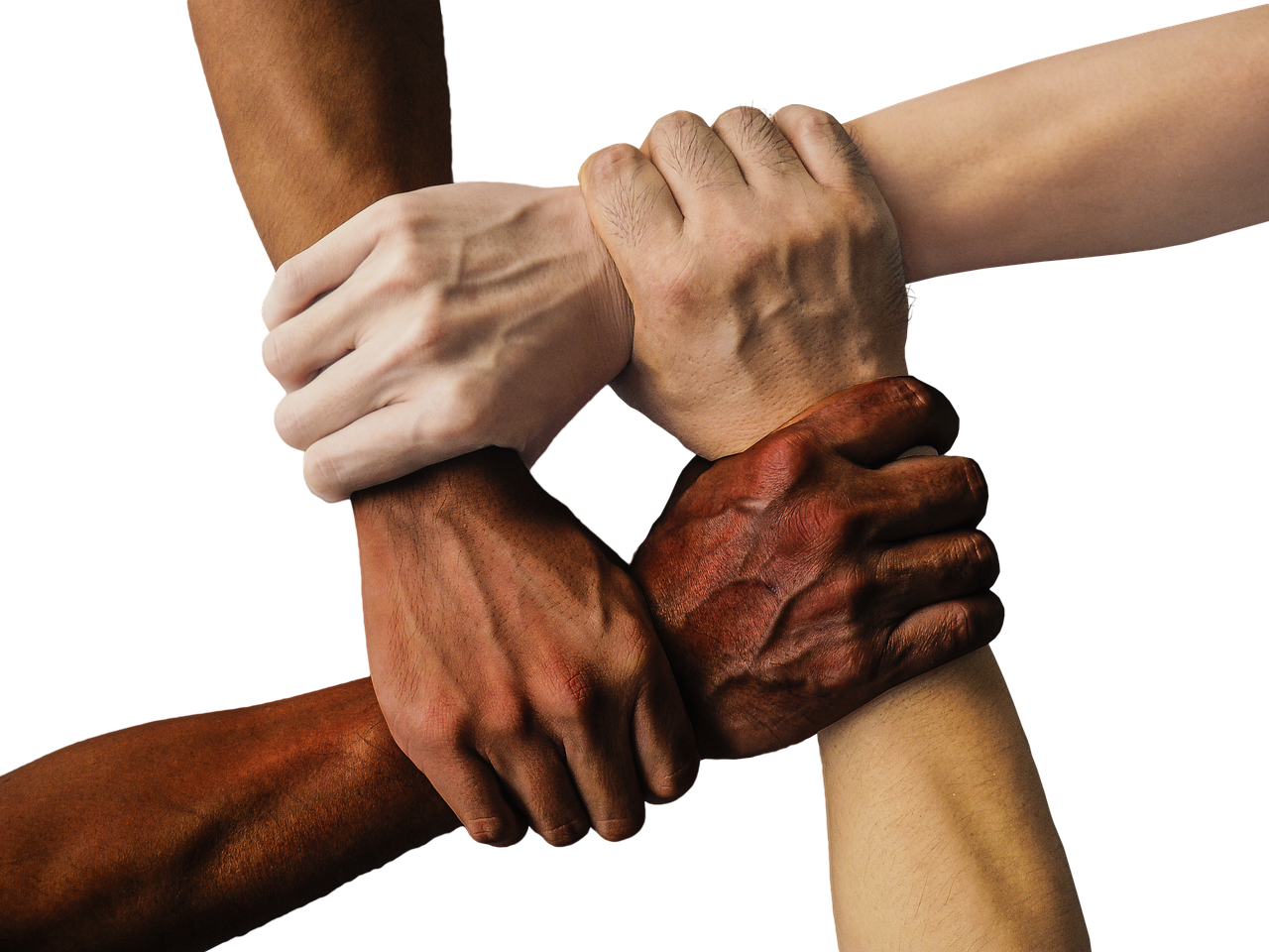 Four hands of different skin tones gripping each other at the wrist to form a square, a symbol of teamwork
